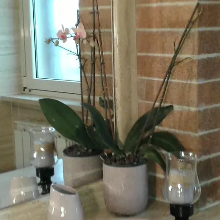 Homestay Domus Paris *