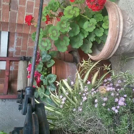 Homestay Domus Paris Tivoli